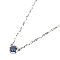 PT950鉑金 藍寶石 By the Yard 項鍊【Tiffany & Co 蒂芬妮】