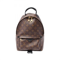 棕色 原花帆布 Palm Springs PM 後背包【LOUIS VUITTON LV 路易威登】 M41560