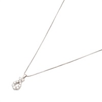 JEWELRY 無品牌珠寶 項鍊 PT1000/850 鉑金 鑽石 Diamond 5.3g