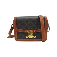 棕色 TRIOMPHE 帆布 牛皮 凱旋門 TEEN 肩背包 188882