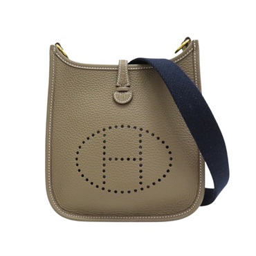 大象灰 TC皮革 Mini Evelyne 肩背包 B刻