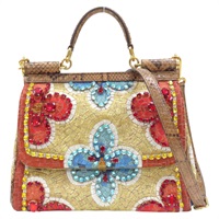 棕色 蛇皮 花朵線繡 水晶 兩用包【Dolce & Gabbana D&G 杜嘉班納】