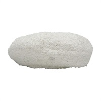 白色 棉布 貝雷帽 帽子【CHANEL 香奈兒】