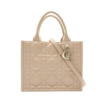 Dior 迪奧 Small Book 兩用包 米色 牛皮 M1325OWHP