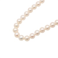 JEWELRY 無品牌珠寶 耳環 項鍊 珍珠 925純銀/14K白金