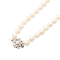JEWELRY 無品牌珠寶 項鍊 925純銀 珍珠 Pearl  32.82g