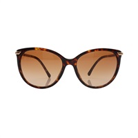 BURBERRY 巴寶莉 太陽眼鏡 棕色 板材 B 4186