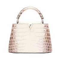 LOUIS VUITTON LV 路易威登 Capucines BB 手提包 喜馬拉雅鱷魚皮  (無皮証)  N98177