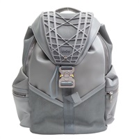 灰色 牛皮 FALL 23 CAIRO COBRA 後背包【Dior 迪奧】