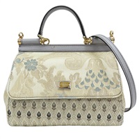 金色 帆布 兩用包【D&G】