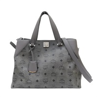 灰色 Visetos帆布 兩用包