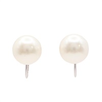 JEWELRY 無品牌珠寶 珍珠 14K白金 夾式耳環 Pearl 2.2g
