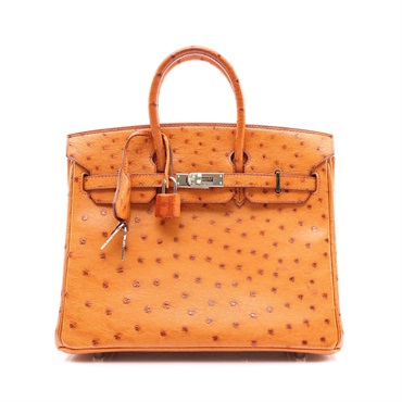 Birkin 25 鴕鳥皮 柏金包 干邑色 銀扣 □M刻 手提包【HERMES 愛馬仕】