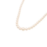 MIKIMOTO 御木本 珍珠 項鍊 純銀