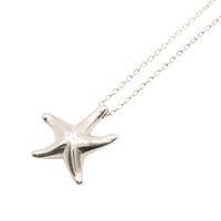 Tiffany & Co 蒂芬妮 Elsa Peretti Star Fish 項鍊 925純銀