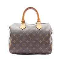 LOUIS VUITTON 路易威登 Speedy 25 手提包 棕色 原花帆布 M41528