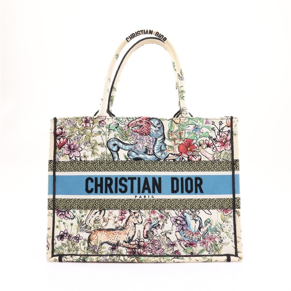 Dior 迪奧 Book Tote Medium 手提包 白色/多色 帆布 變色 M1296ZRUV