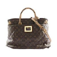 LOUIS VUITTON LV 路易威登 Etoile Exotique GM 兩用包 棕色 原花帆布 M40402