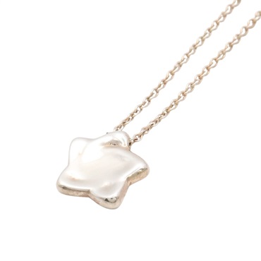 Tiffany & Co 蒂芬妮 Star 項鍊 銀色 925純銀
