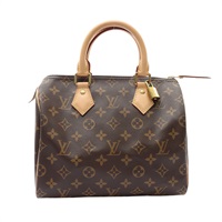 LOUIS VUITTON LV 路易威登 Speedy 25 手提包 棕色 原花帆布 M41109